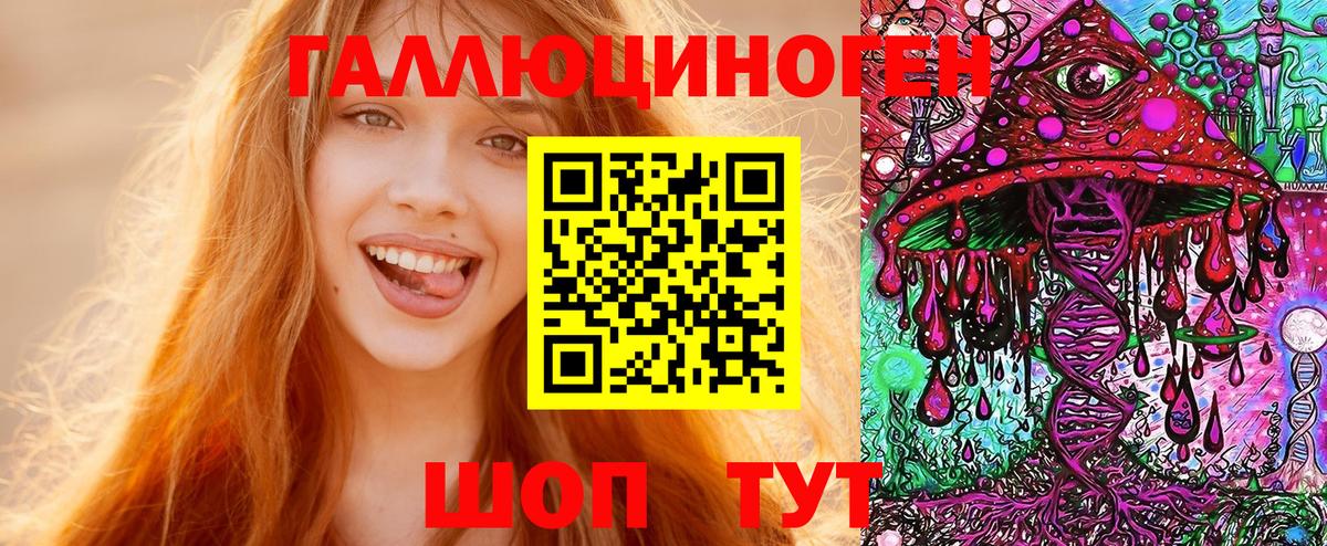 Кизилюрт  Псилоцибиновые грибы ЛСД  Вход с VPN 