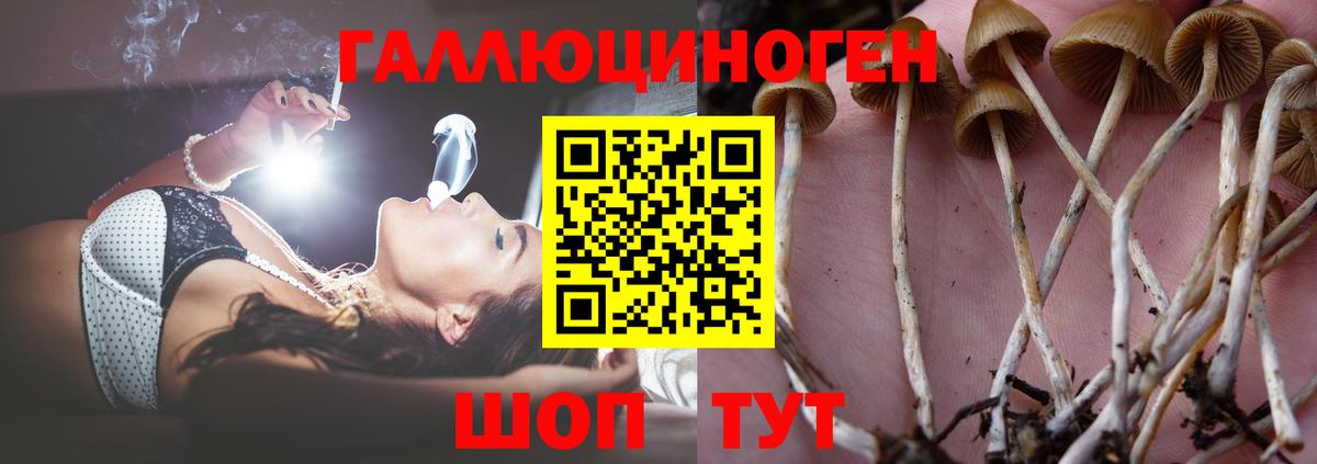 Псилоцибиновые грибы ЛСД Кизилюрт